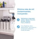 planta antártico 2