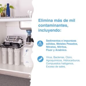 planta antártico 2