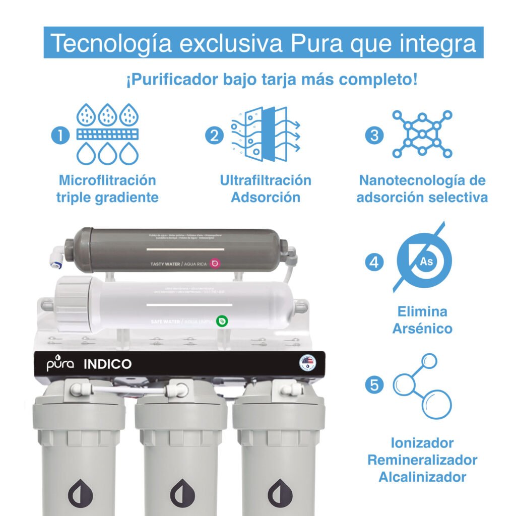 purificador indico 2